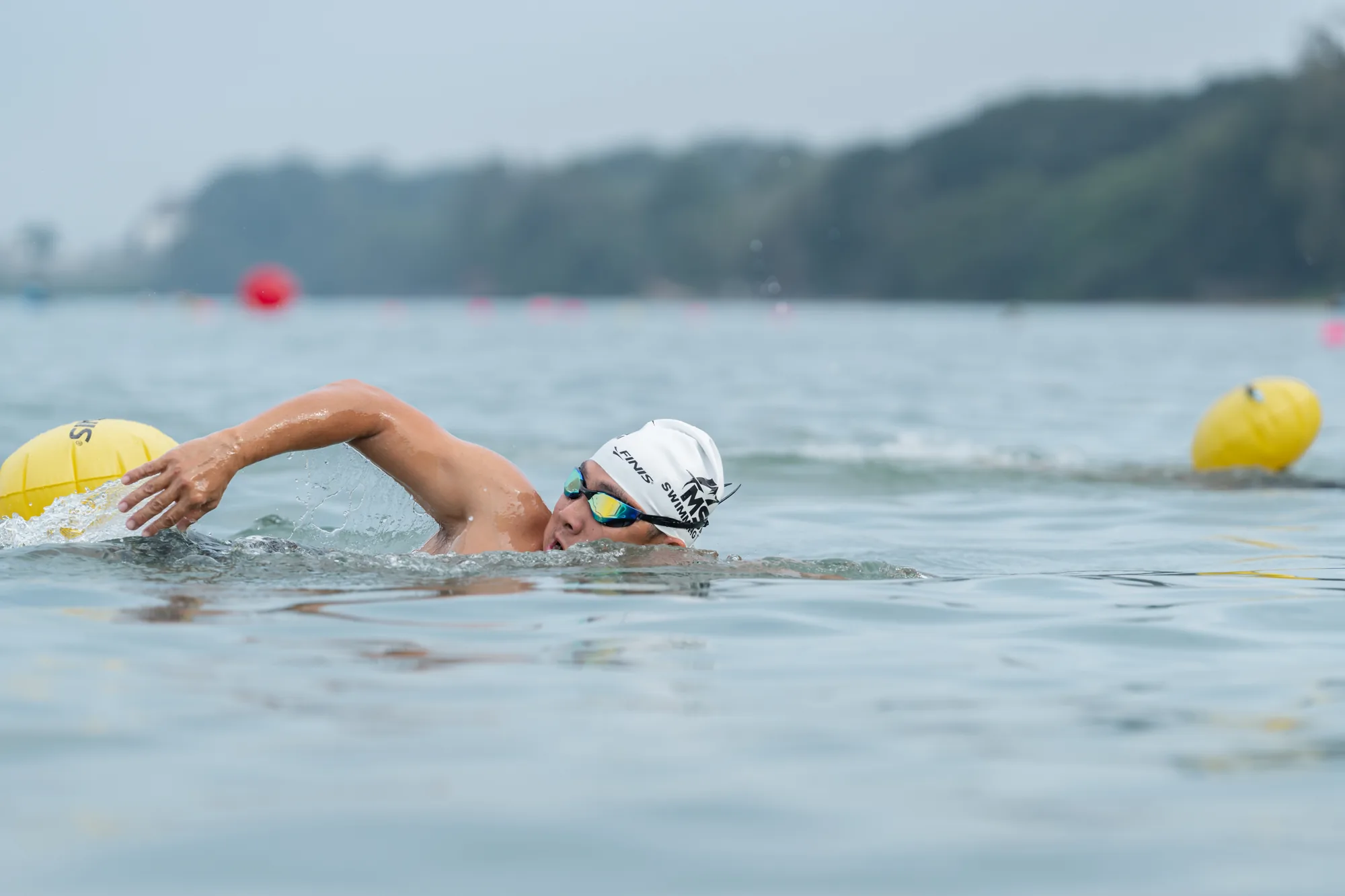 myswimcoaching-open-water-coaching-029